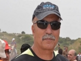 ما هي وضيفه أمنون باشا داخل المجلس المحلي ؟ 